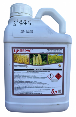 циперус, 5л